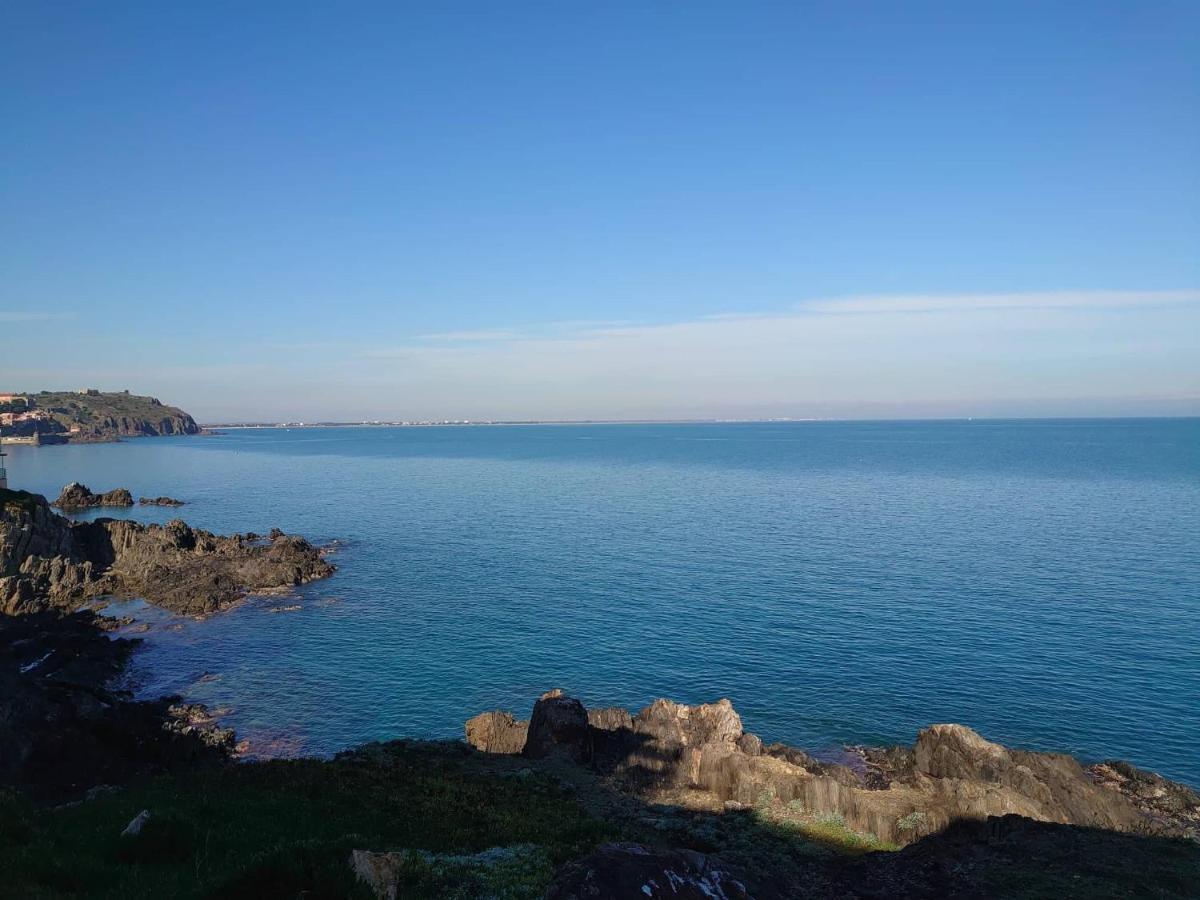4Rb4 Appartement Type T2 Bord De Mer Acces Plage Direct Collioure Exteriör bild