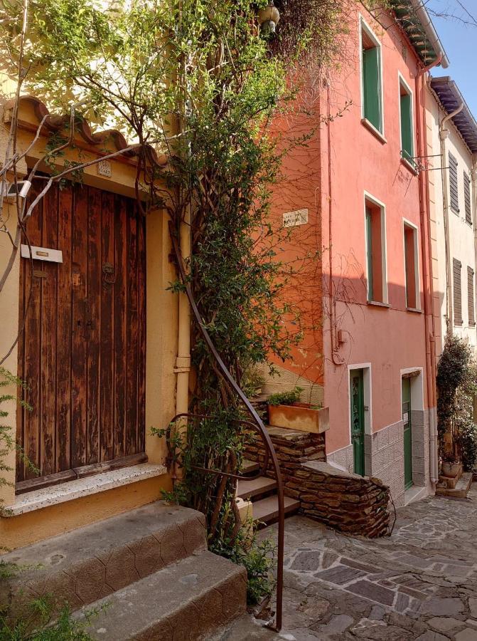 4Rb4 Appartement Type T2 Bord De Mer Acces Plage Direct Collioure Exteriör bild