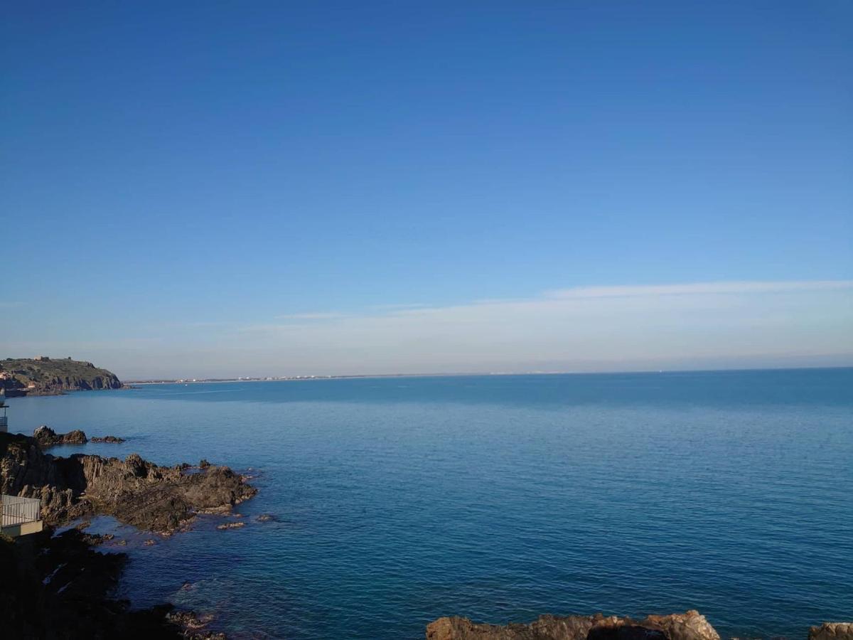 4Rb4 Appartement Type T2 Bord De Mer Acces Plage Direct Collioure Exteriör bild
