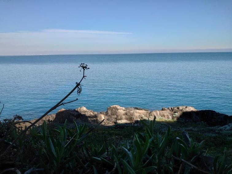 4Rb4 Appartement Type T2 Bord De Mer Acces Plage Direct Collioure Exteriör bild