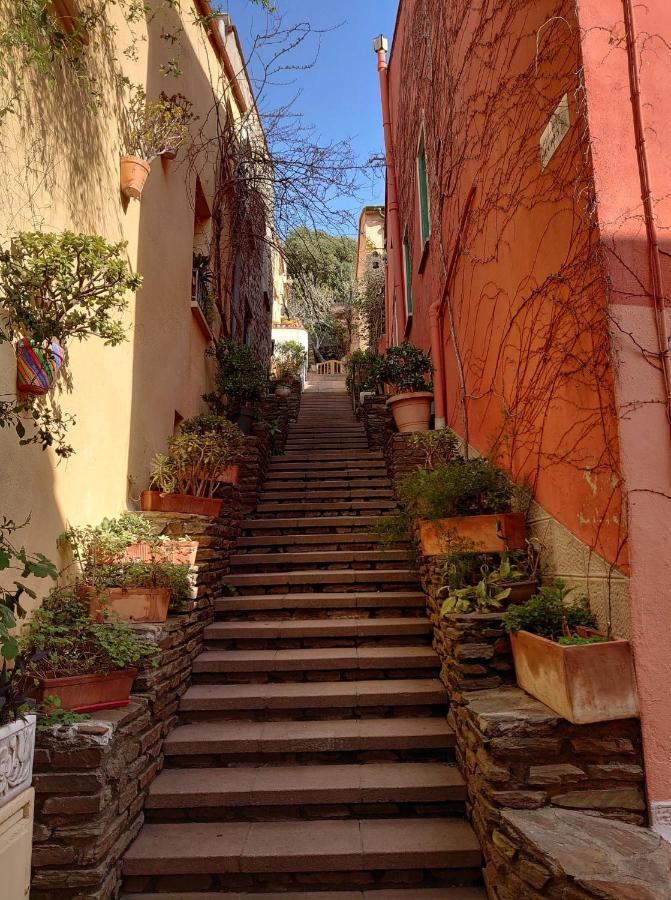 4Rb4 Appartement Type T2 Bord De Mer Acces Plage Direct Collioure Exteriör bild